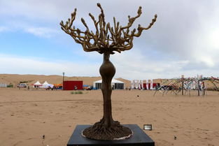 戈壁天堂 線下文化創(chuàng)意活動藝術(shù)品賞析