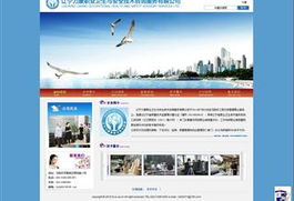 服務(wù)行業(yè)網(wǎng)站建設(shè)與設(shè)計 信息技術(shù)咨詢服務(wù)的實踐與案例