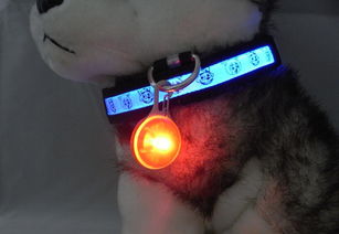 炫酷夜光新寵 LED發光寵物飾品全攻略