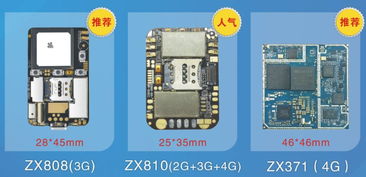十年專注，領航未來 一家GPS電子寵物研發企業的創新之路