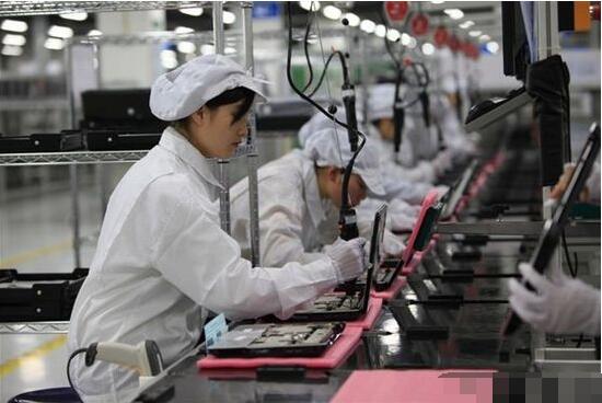 電子廠苦中作樂秘籍 上班養(yǎng)貓，快樂似神仙？